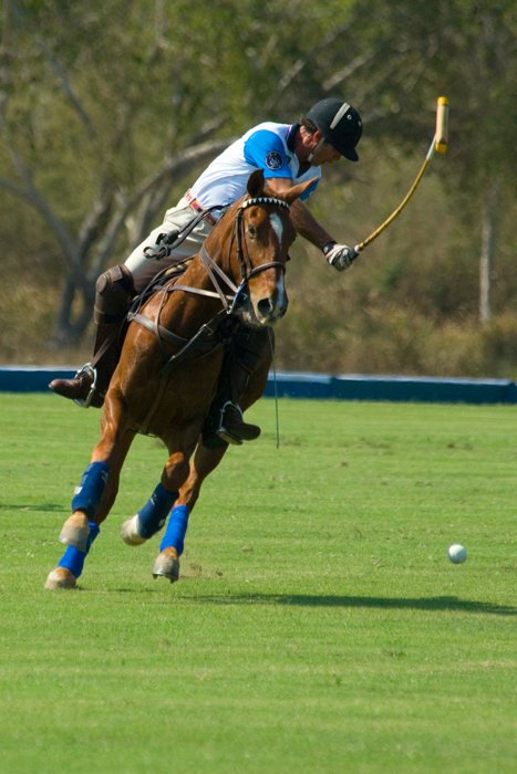 polo_3(crop)