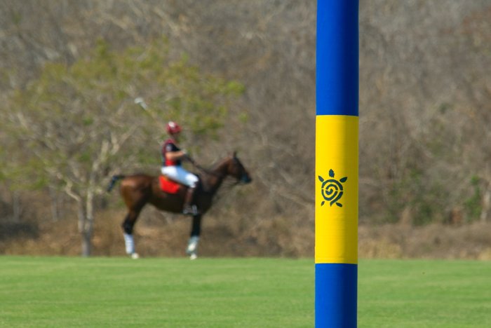 polo_7(crop)