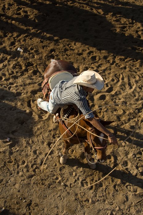 lienzo_charro_1