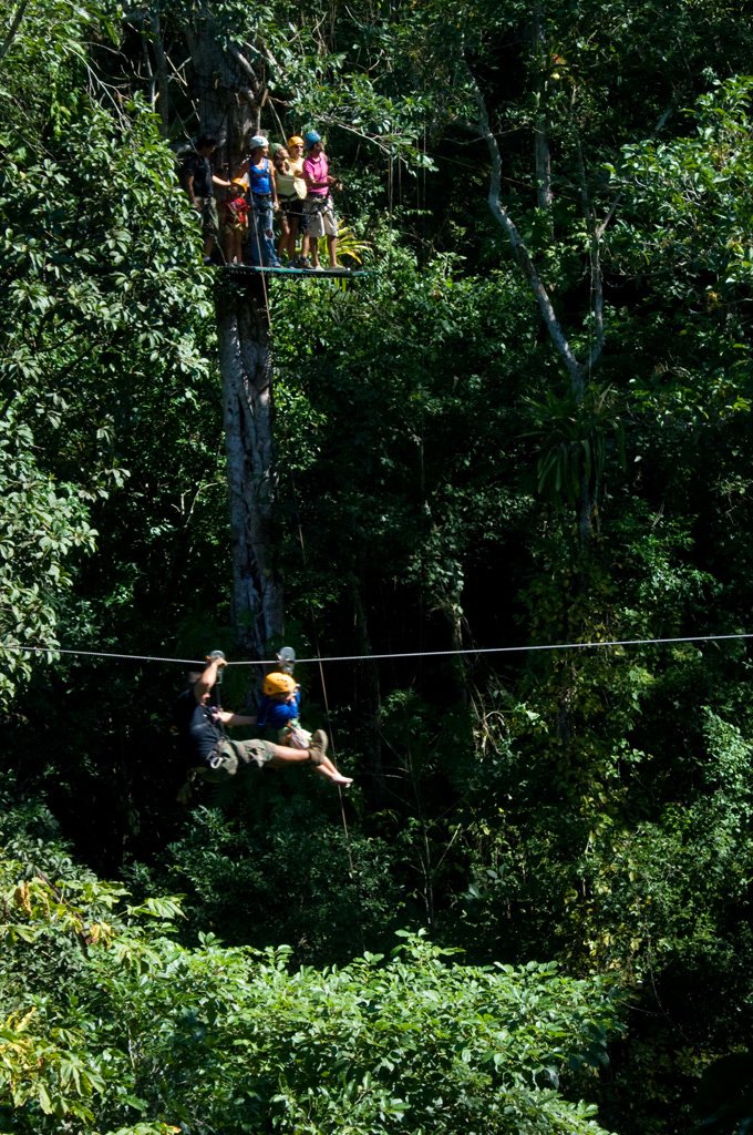 tree_platform(crop)