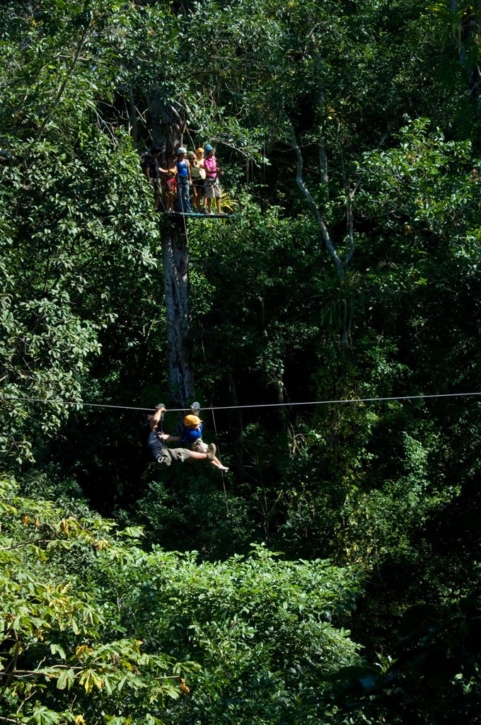 tree_platform