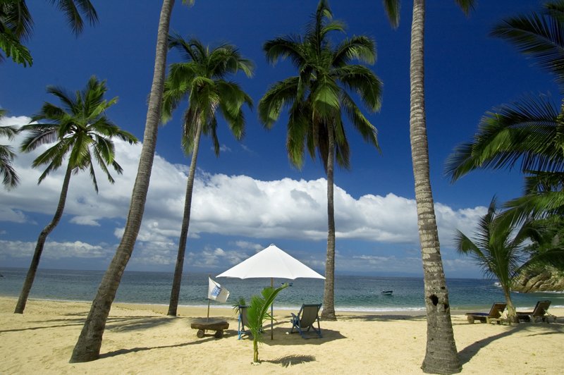 beachbrolly