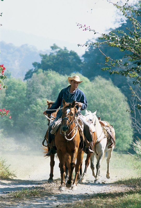 caballero